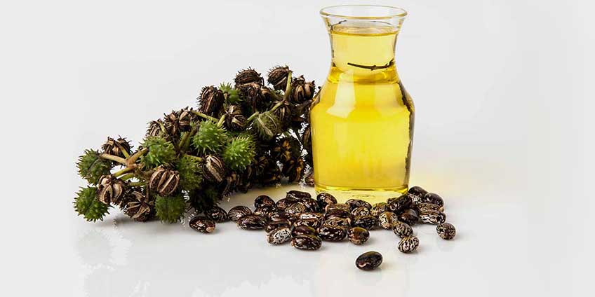 The benefits of Castor oil for hair growth